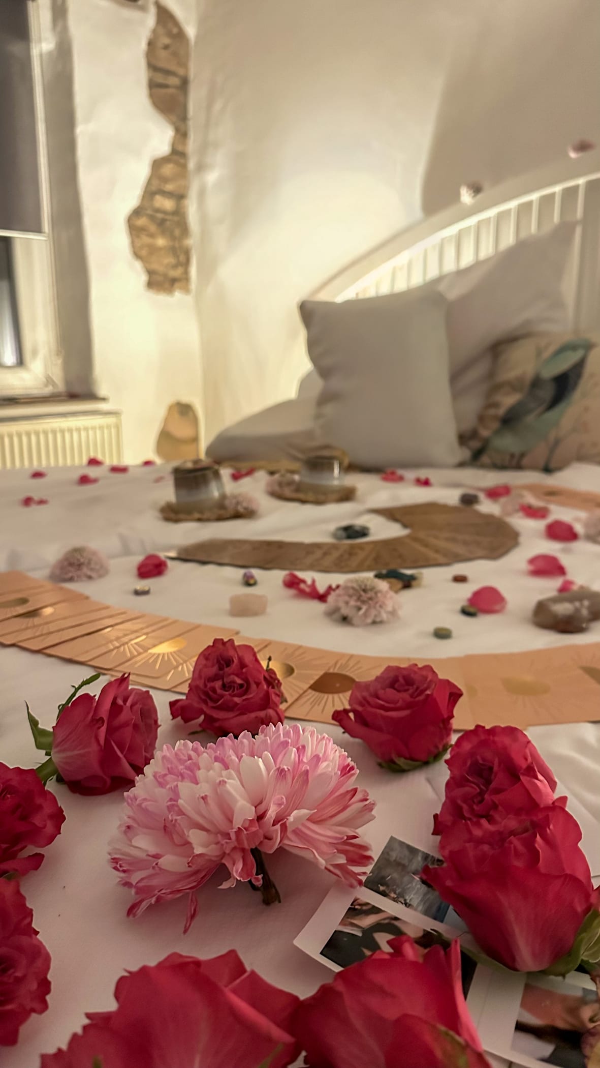 Rosen, Karten und Polaroids auf einem Bett