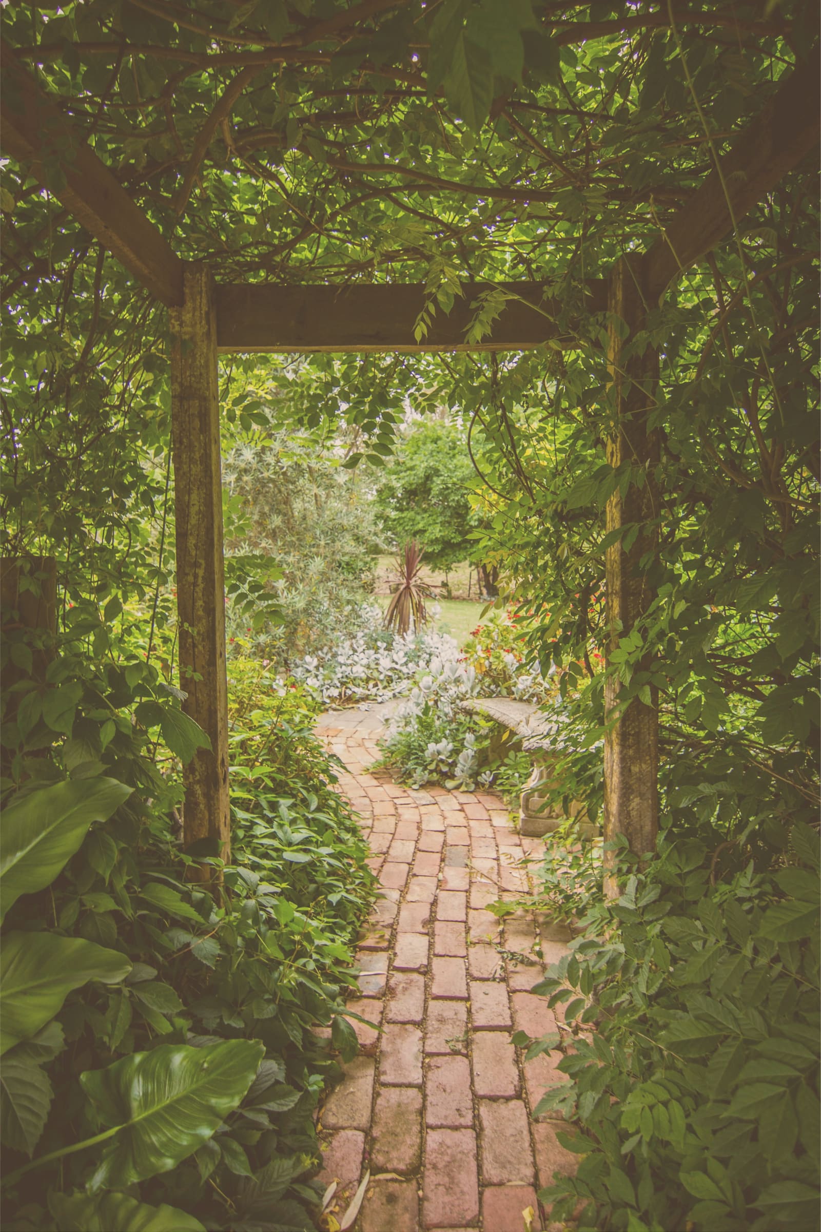 Blick durch einen begrünten Laubengang auf einen Ziegelweg im Garten